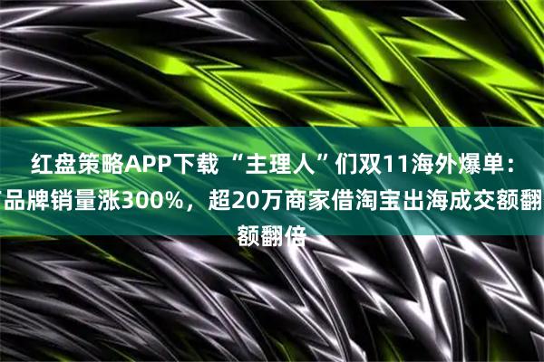 红盘策略APP下载 “主理人”们双11海外爆单：有品牌销量涨300%，超20万商家借淘宝出海成交额翻倍