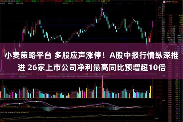 小麦策略平台 多股应声涨停！A股中报行情纵深推进 26家上市公司净利最高同比预增超10倍